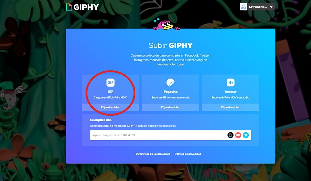 GIPHY Cómo tener tus propios gifs en Instagram y Tiktok