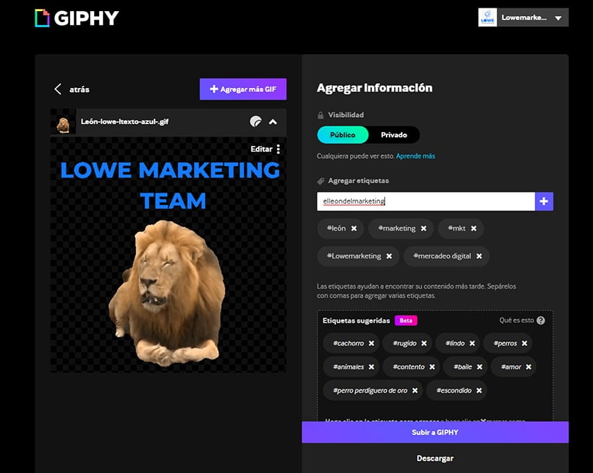 GIPHY Cómo tener tus propios gifs en Instagram y Tiktok
